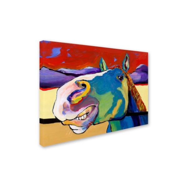 Pat Saunders-White 'Eye To Eye' Canvas Art,35x47